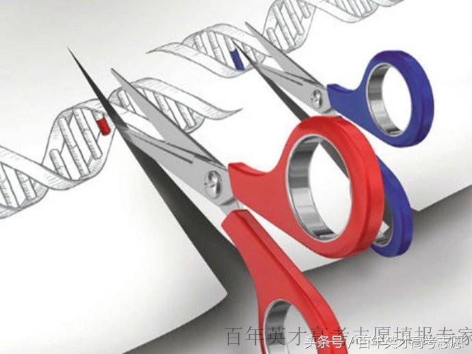 未来就业前景好的十大专业排行,三年后就业前景最好的十大专业