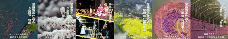 企鹅号哪个领域比较赚钱,企鹅号哪家公司旗下的平台