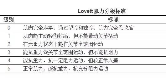下肢肌力锻炼康复动作,上下肢肌力耐力康复训练