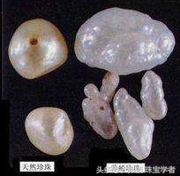 天然珍珠是什么样的,天然珍珠真的是纯天然的吗
