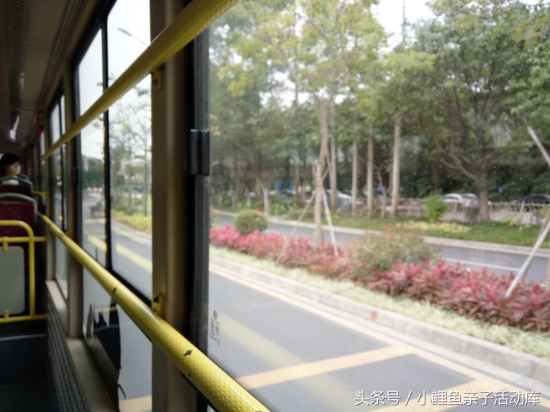 长隆动物园亲子游攻略,广州长隆4园2天1夜亲子游攻略