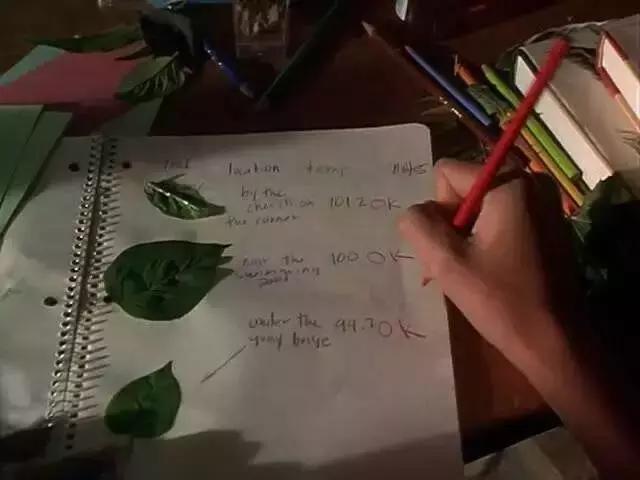 颜值演技双在线值得反复观看好剧,颜值演技双在线值得反复观看