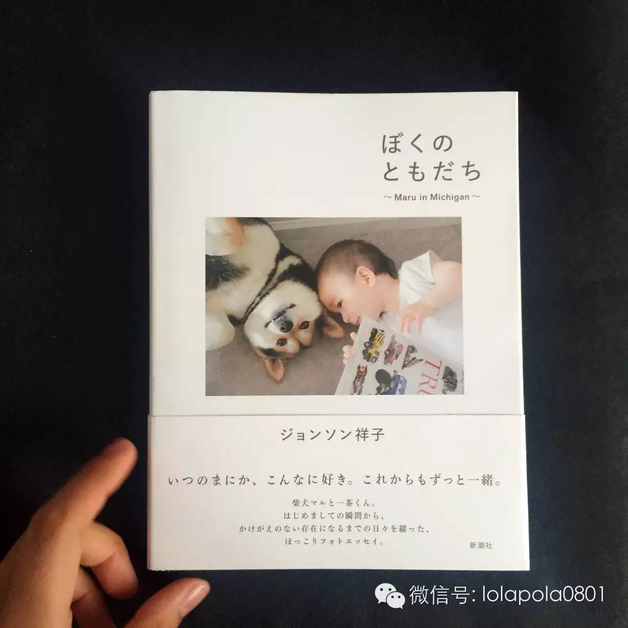 WeeklyFav｜#200125-0214春节假期好物发现推荐