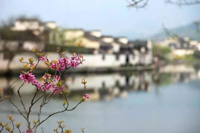 上海高铁到黄山4日游攻略,上海高铁到黄山旅行攻略