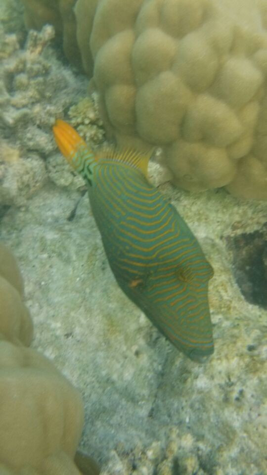 成都到马尔代夫旅游团七日游价格,马尔代夫成都出发旅游