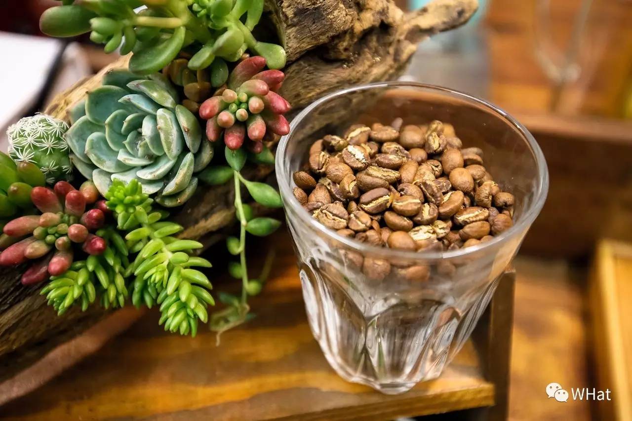 武汉藏在幽静地方的咖啡馆,武汉哪里有小资情调的咖啡厅