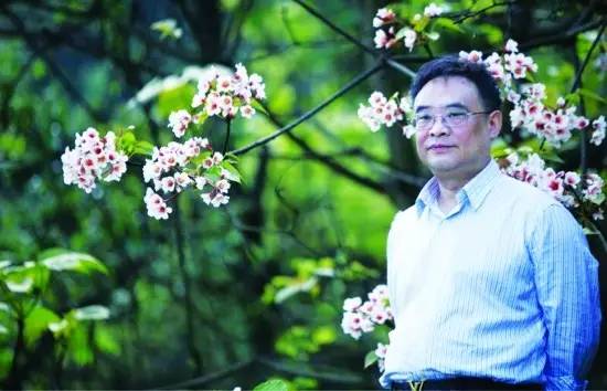 「对话名家」黄叶：用丰厚的学养为艺术奠基