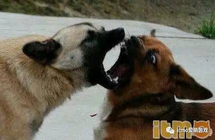 二次元为什么讨厌死宅,死宅为什么嘲讽喜欢二次元的人