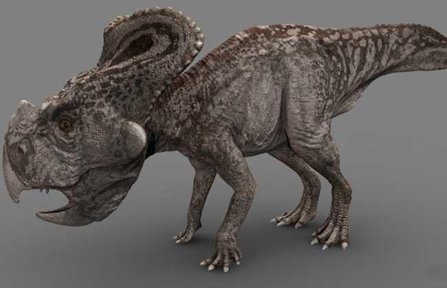 关于恐龙你都知道什么秘密习性,关于恐龙你所不知道的几个真相