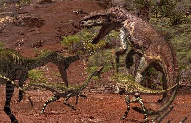 关于恐龙你都知道什么秘密习性,关于恐龙你所不知道的几个真相