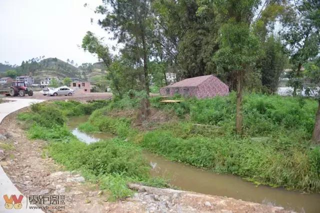 宜宾屏山蓝莓基地采摘园在哪,宜宾蓝莓采摘基地多久能够摘