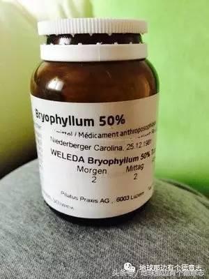 咪私料｜我的德国育儿日记：德国孕妇用什么保健品和药品？