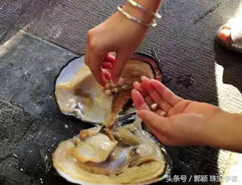 天然珍珠是什么样的,天然珍珠真的是纯天然的吗