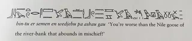 用古埃及文优雅地骂人，好想学圣书体呀！
