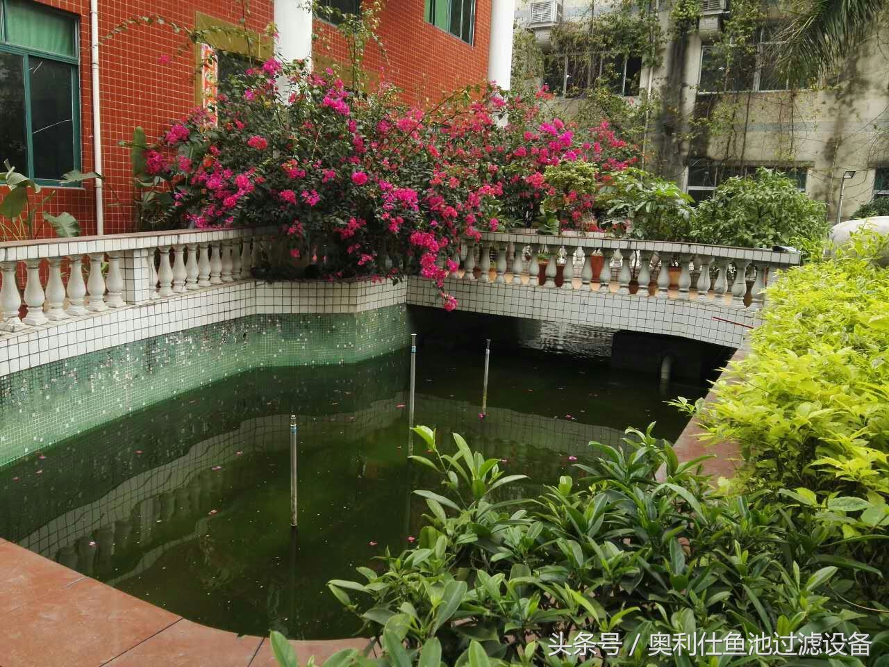 22立方鱼池价格一览表,36平方鱼池建造价格一览表