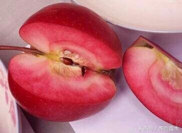 赤霉素920蔬菜的正确用法,920赤霉素和尿素能混用吗