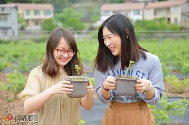 宜宾屏山蓝莓基地采摘园在哪,宜宾蓝莓采摘基地多久能够摘