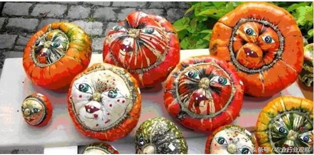 如何能够有效的销售农产品,新手如何做好卖农产品的推广