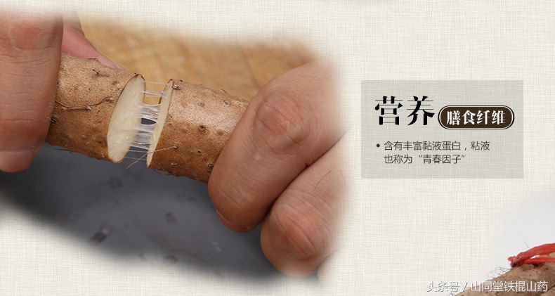 铁棍山药合适什么人食用,铁棍山药的十大功效与功能及禁忌