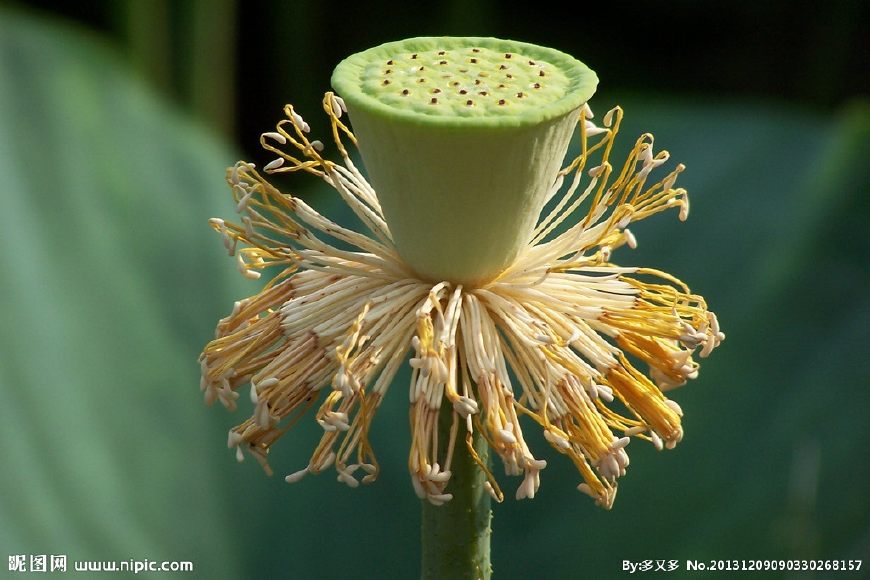 地道小吃童年味道,什么样的美食叫怀旧美食