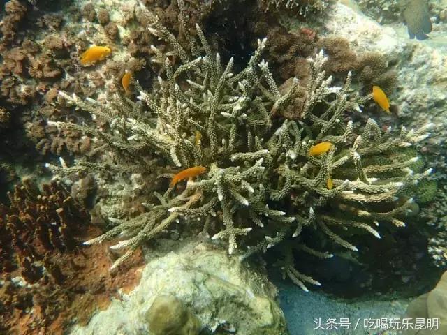 3000玩转泰国2天4夜攻略 (泰国小马尔代夫海岛)