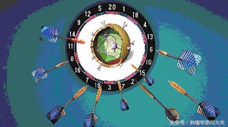 得了肺癌没钱治怎么办,家境贫寒如何选择肺癌晚期治疗