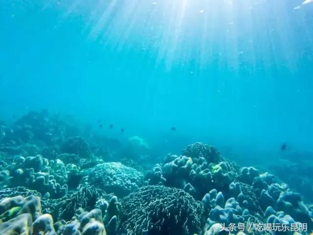 3000玩转泰国2天4夜攻略 (泰国小马尔代夫海岛)