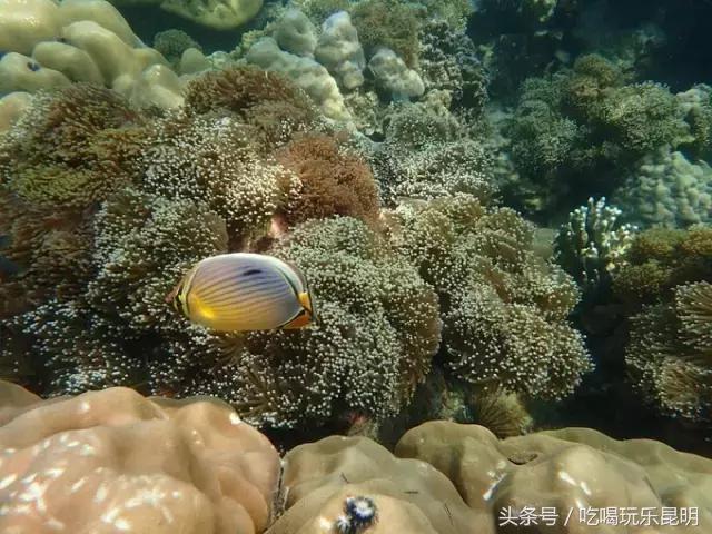 3000玩转泰国2天4夜攻略 (泰国小马尔代夫海岛)