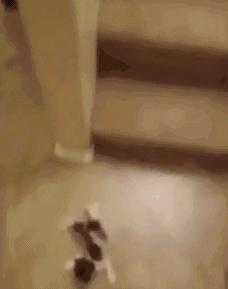 图文笑话：兄弟，你说普通话吧，你这四川话我听的脑壳疼