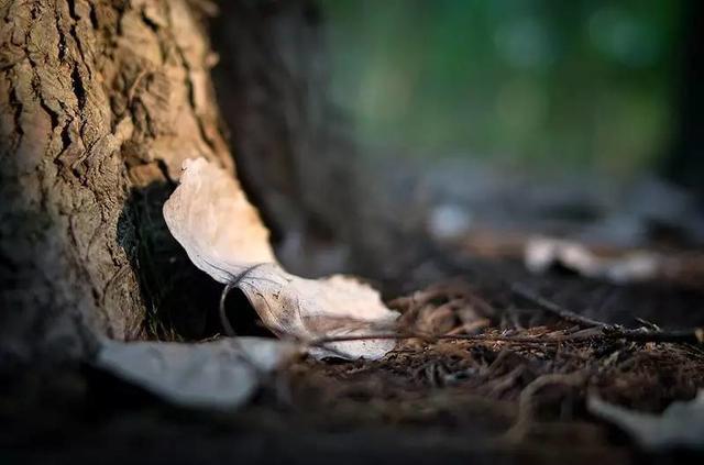 不怕死怕得病,一个人什么都不怕就是怕得病