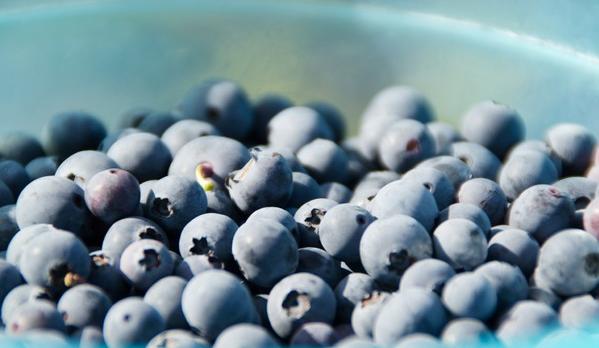 春节抚仙湖一日游自驾游玩攻略,抚仙湖游玩攻略最新