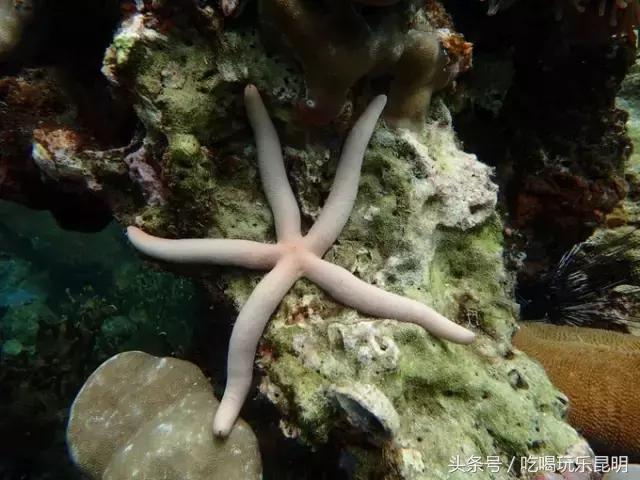 3000玩转泰国2天4夜攻略 (泰国小马尔代夫海岛)