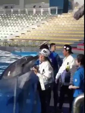 跑男大连完全版,跑男录制行程第三次