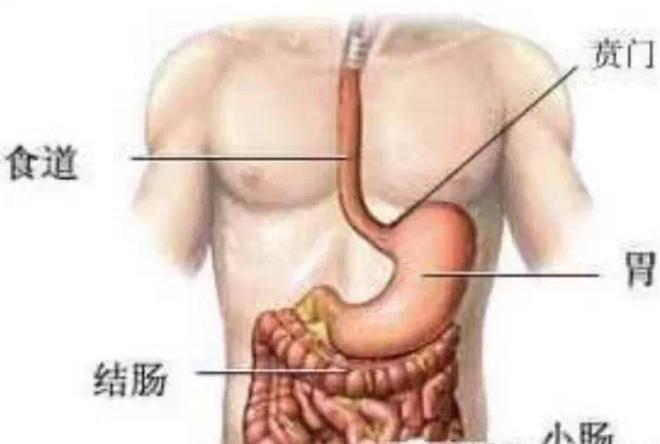 贲门癌打嗝严重是厉害了吗,贲门癌打嗝严重是什么情况