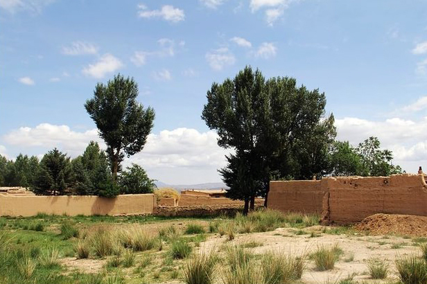 金昌骊靬古城的人,金昌市永昌县骊靬村