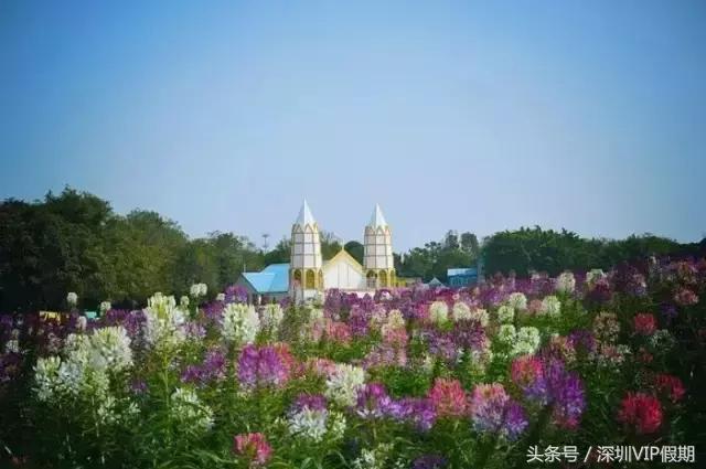 从化毅华温泉特色,从化毅华温泉旅游攻略