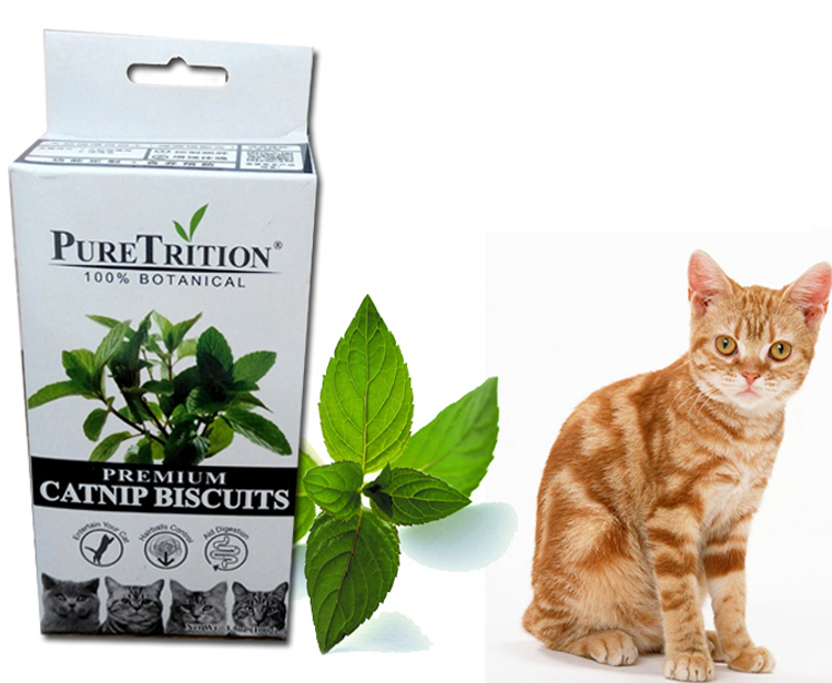 家有喵哥汪弟，体验好物帮你挑