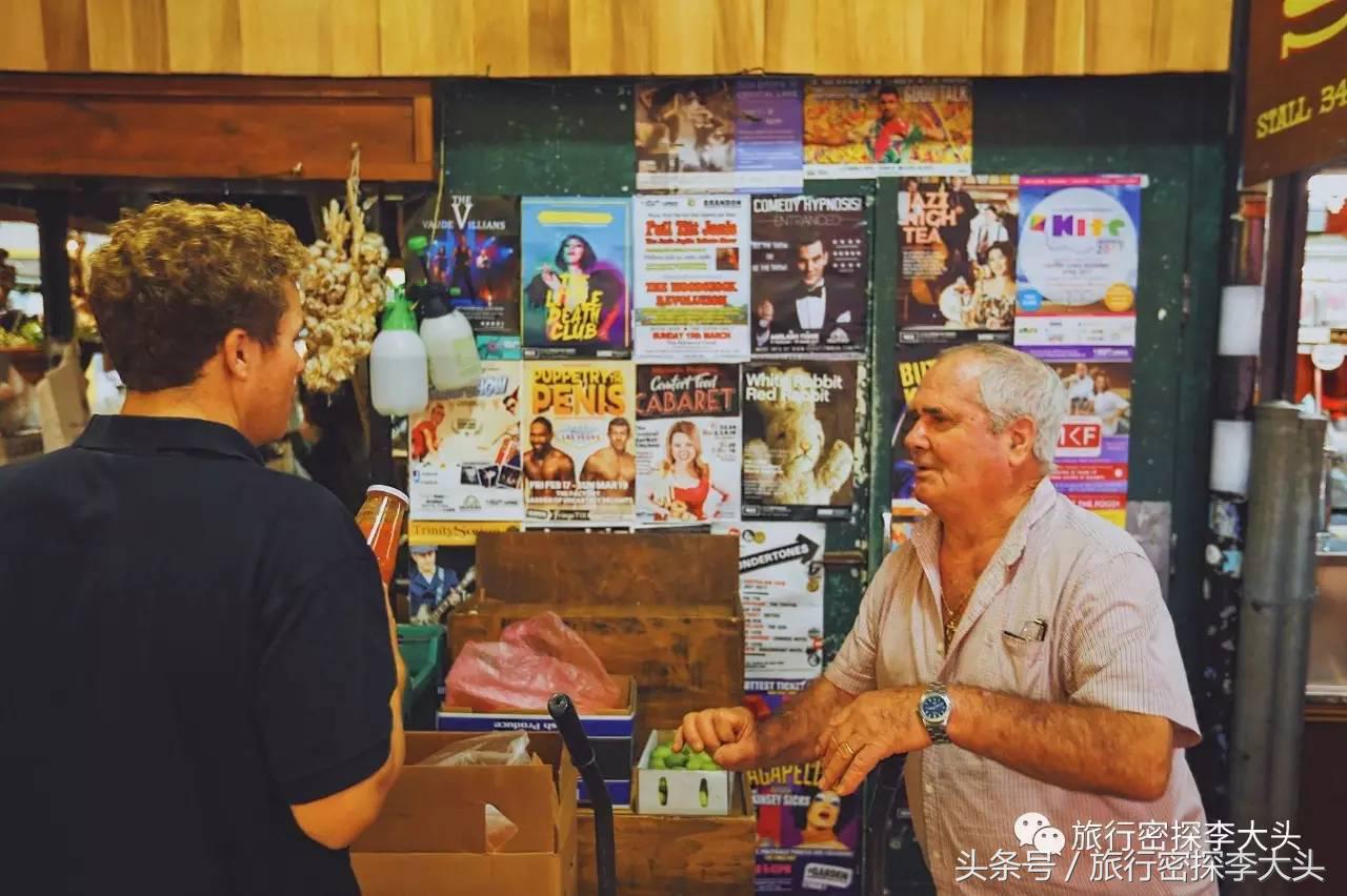 中国哪里能够抱考拉,全球哪里能够抱考拉