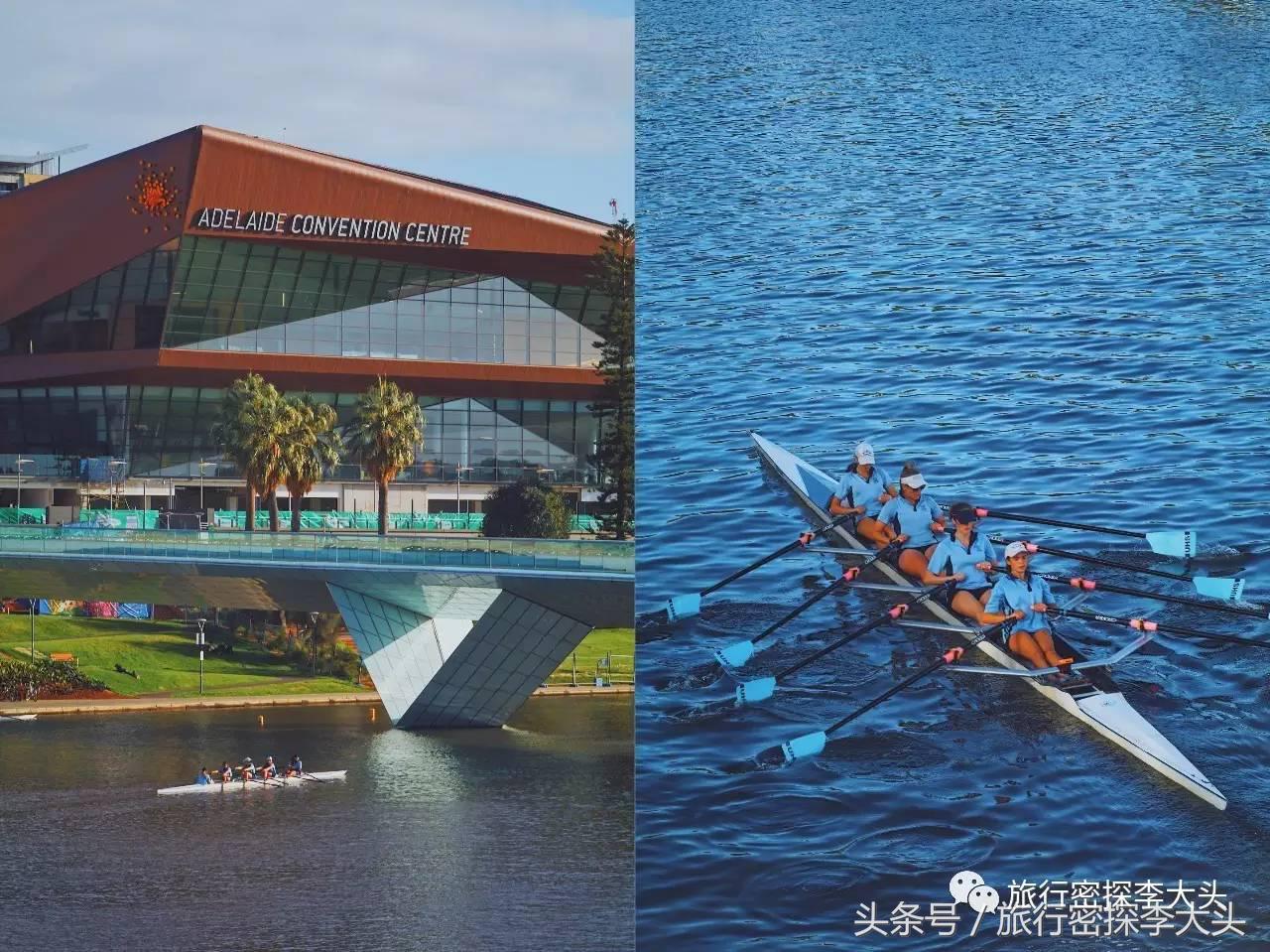 中国哪里能够抱考拉,全球哪里能够抱考拉