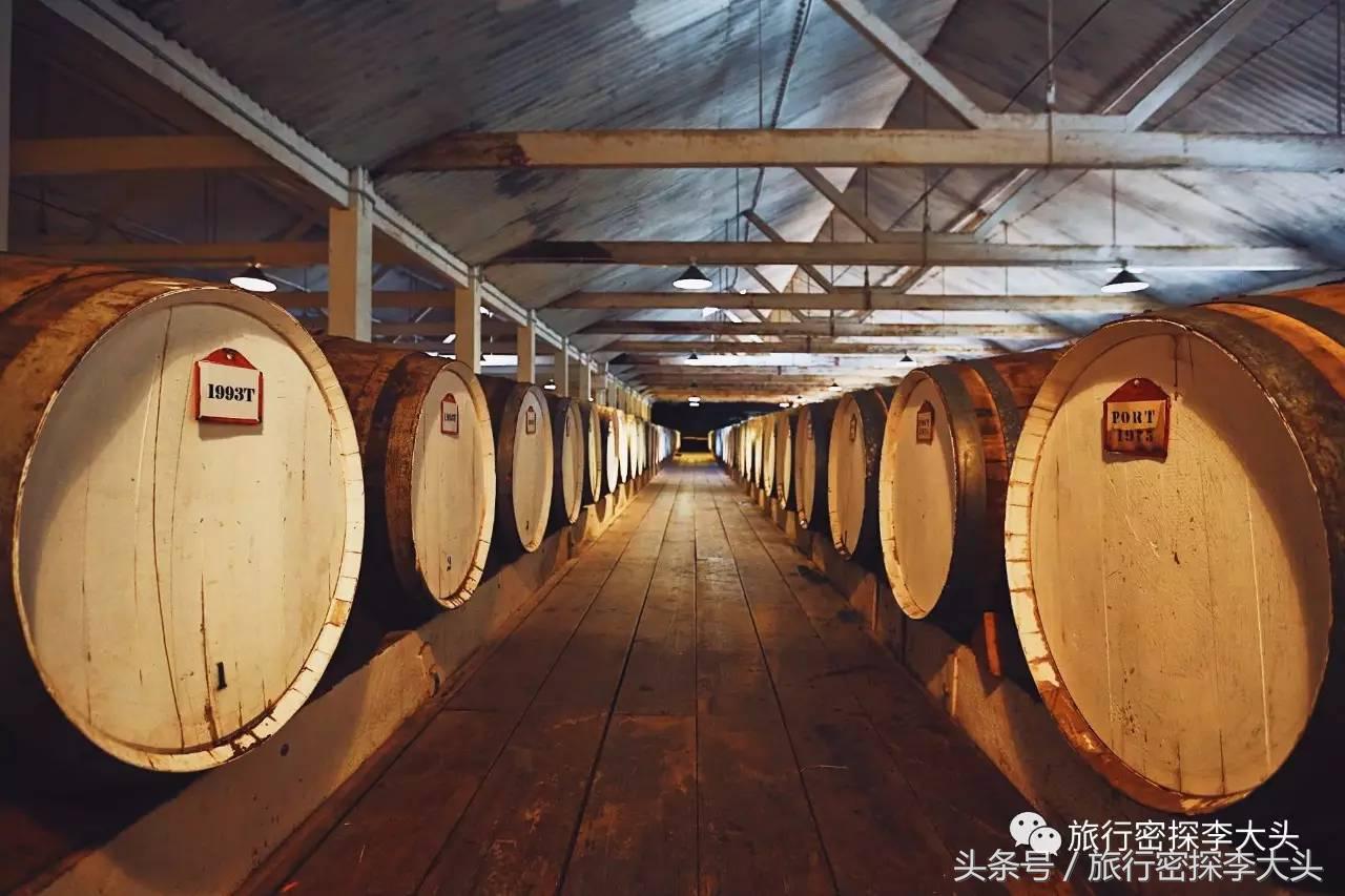 中国哪里能够抱考拉,全球哪里能够抱考拉