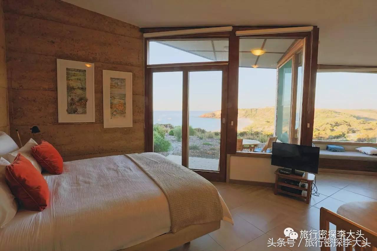 中国哪里能够抱考拉,全球哪里能够抱考拉