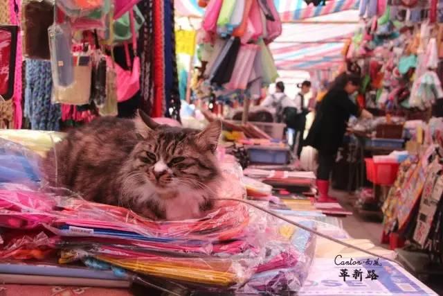 广州一座待了16年的城市,广州已经消失的客运站