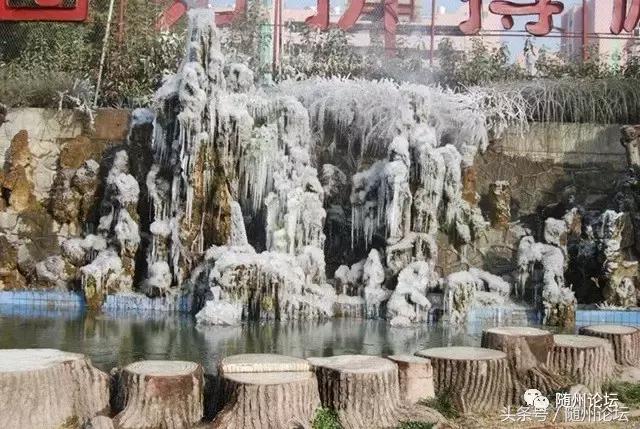 曾都一中真牛，快看！