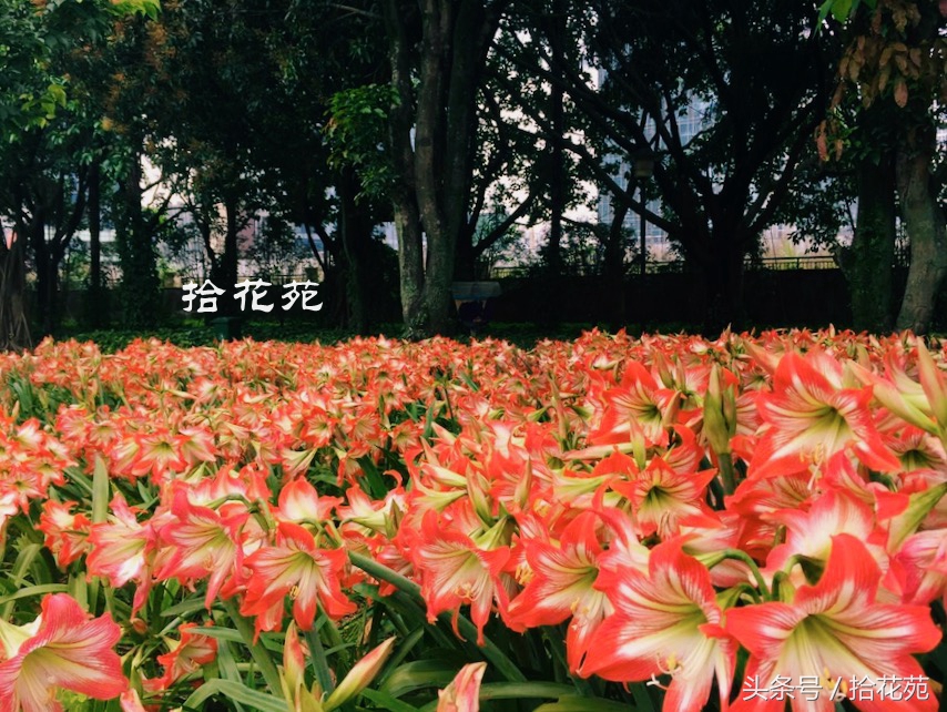福州五一海边旅游推荐,福州五一海边游