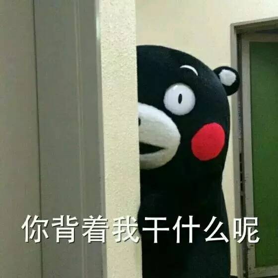 荷兰猪优势与劣势有哪些,荷兰猪的能力有多强