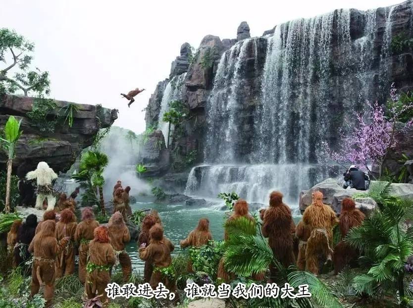 荷兰猪优势与劣势有哪些,荷兰猪的能力有多强