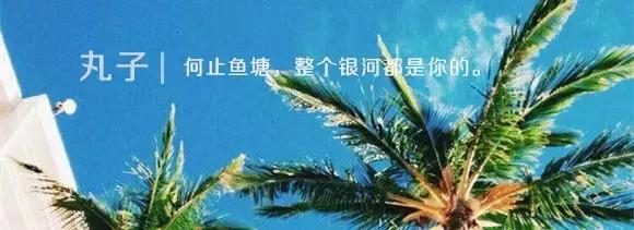 合适夏天种草的沐浴露,仙女必备的真花瓣沐浴露