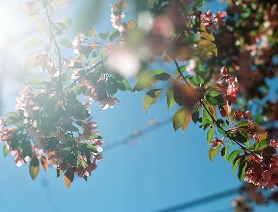 正能量的图片配文字励志,哲理人生经典语录文字图片