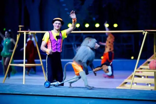 厦门灵玲国际马戏城大不大,五一厦门灵玲国际马戏