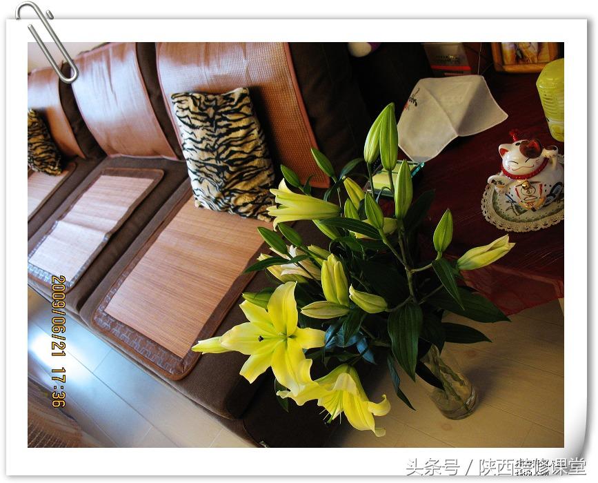 100平小户型房屋装修,10平家用单间装修设计小窝